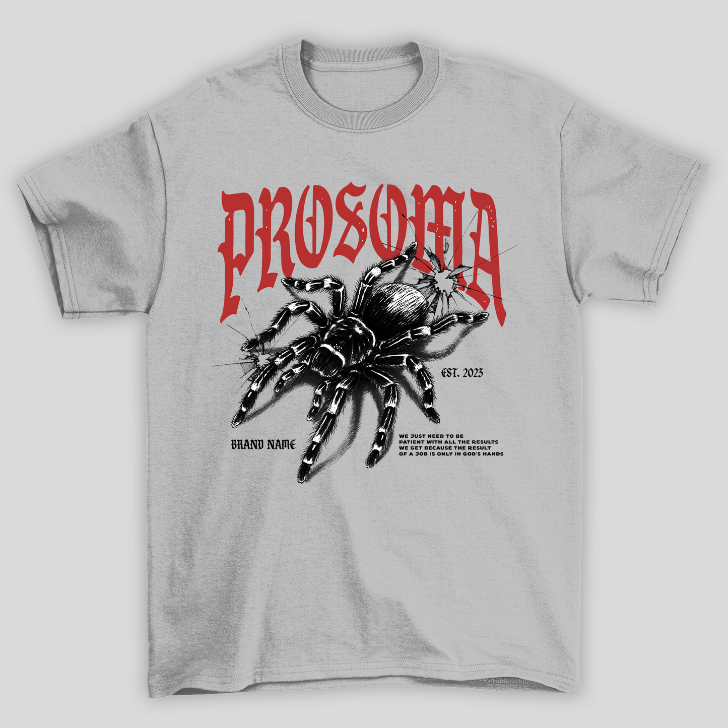 Camiseta Básica Unissex Aranha Spider Prosoma