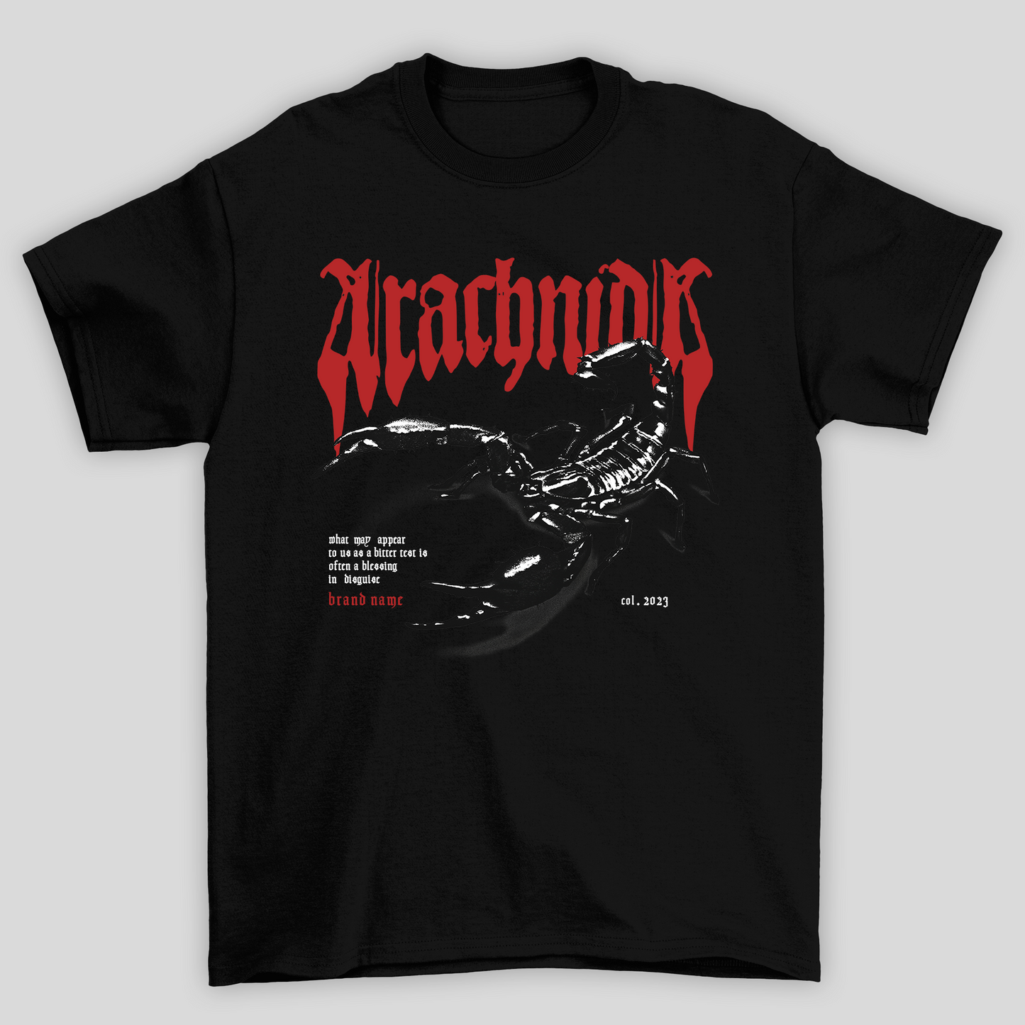 Camiseta Básica Unissex