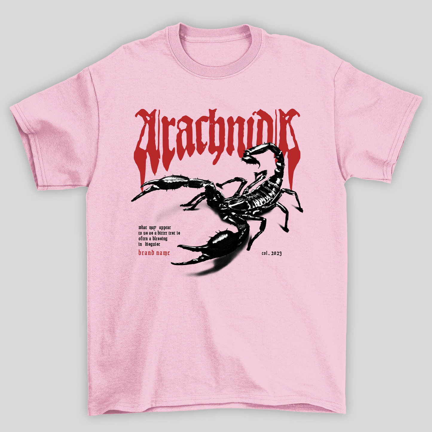 Camiseta Básica Unissex
